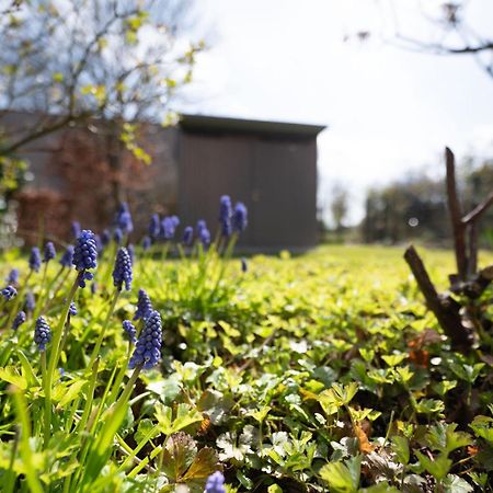 Auszeit Wormshoeft Hasselberg  Eksteriør bilde